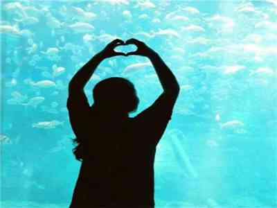 黄色链接3.0:揭秘网络陷阱,警惕新型恶意链接-1