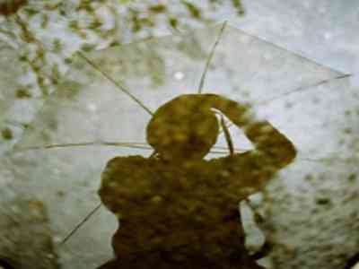 原神申鹤乳液Xamn：原神角色申鹤专用，Xamn牌护肤乳液推荐-1