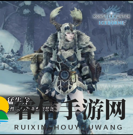 《冰原新装备揭秘，猎人巅峰之作！》