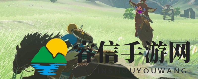 《旷野奇遇：揭秘塞尔达红月之夜神庙》