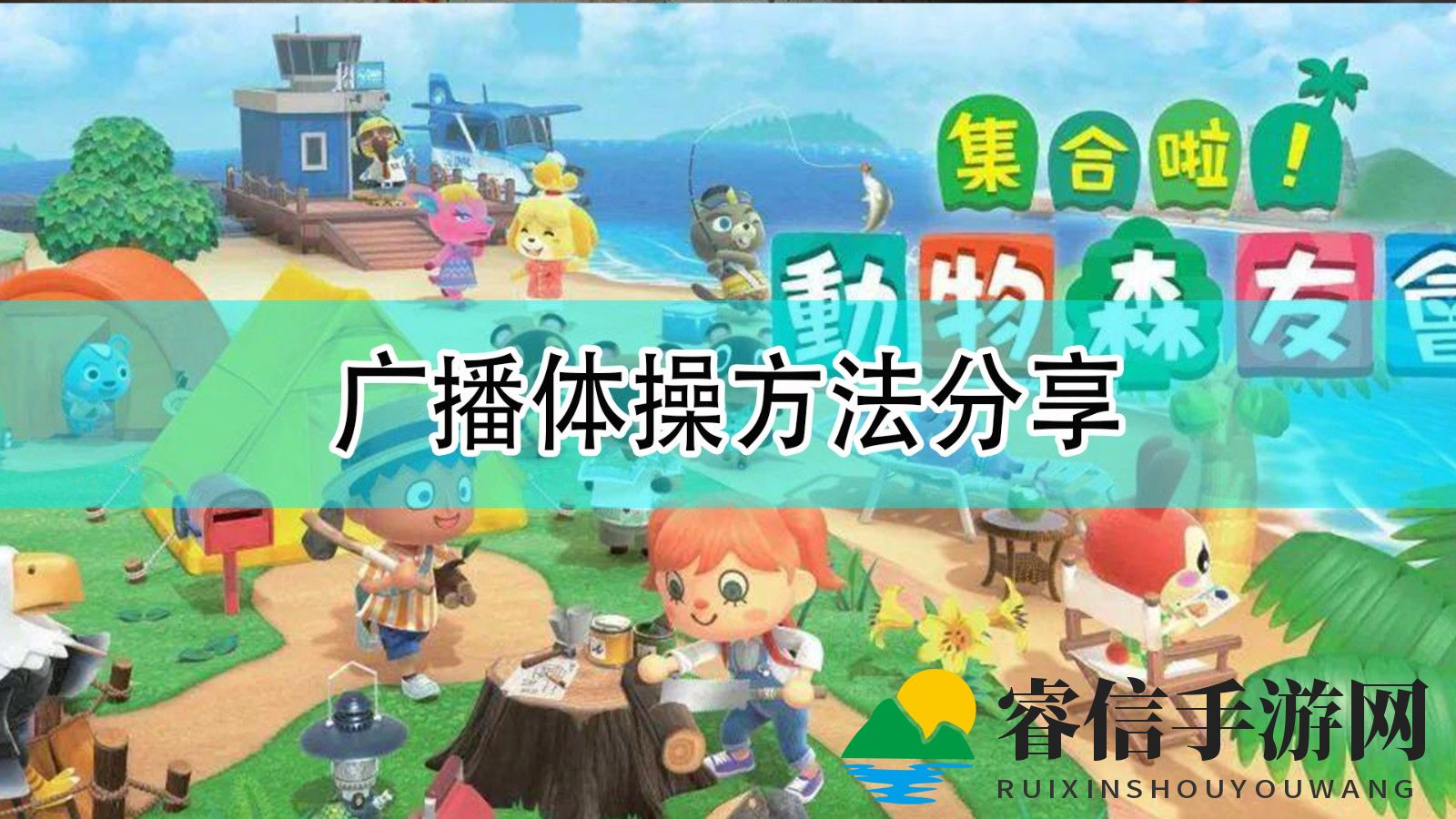 岛屿欢乐广播体操，小动物一起跳起来