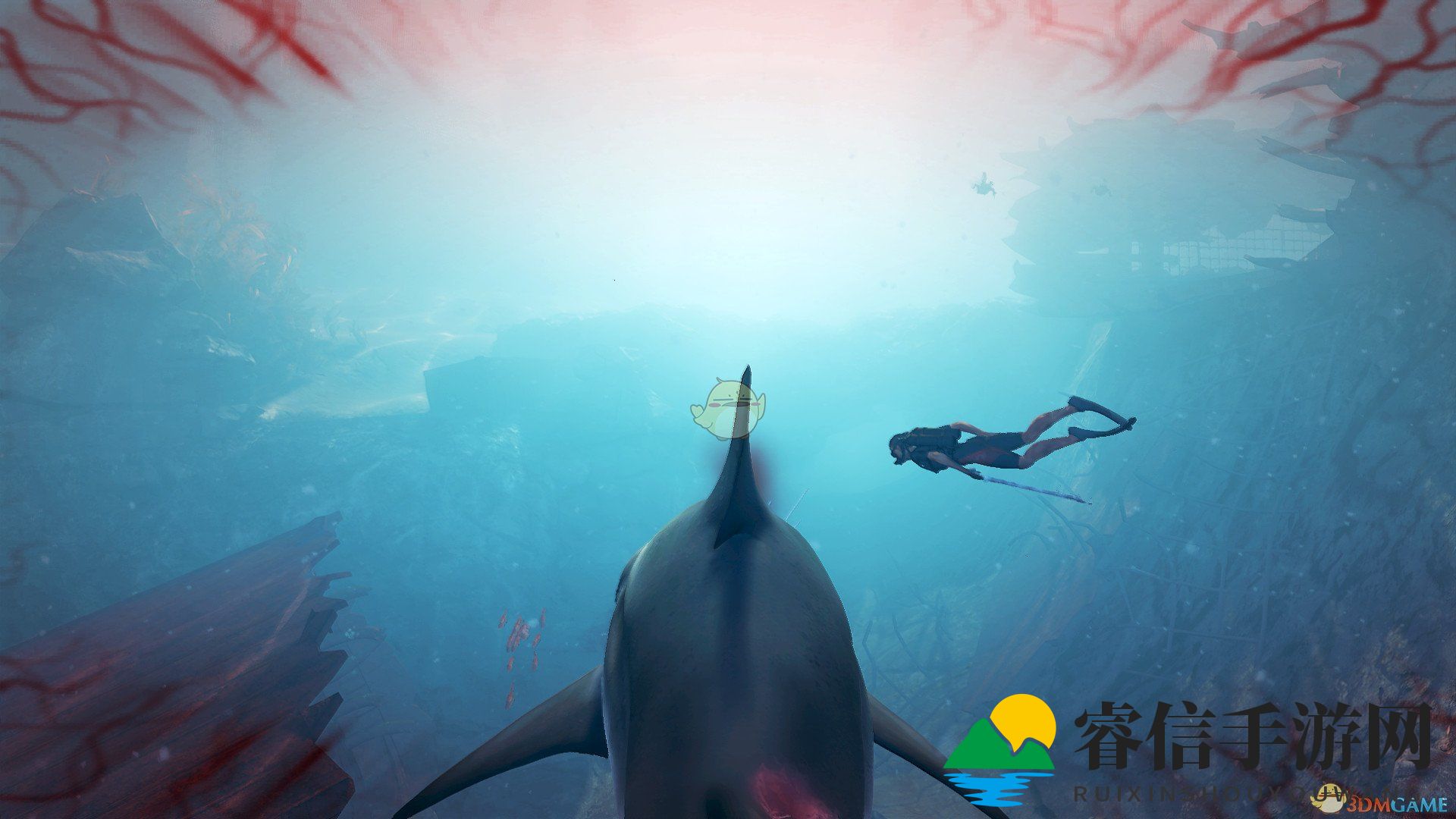 海洋顶级掠食者惊悚解析