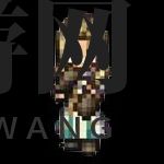 神秘修女技能大揭秘，辅助角色引期待