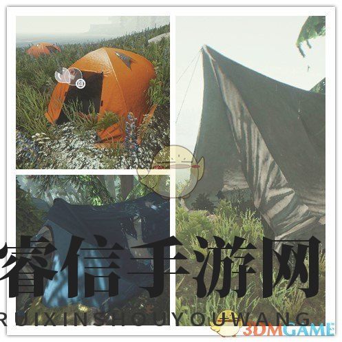 《森林》神秘天坑：真相揭秘！