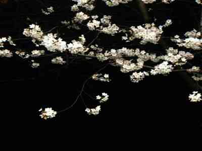 水野朝阳三级片：《水野朝阳作品类型揭秘，非情色内容》