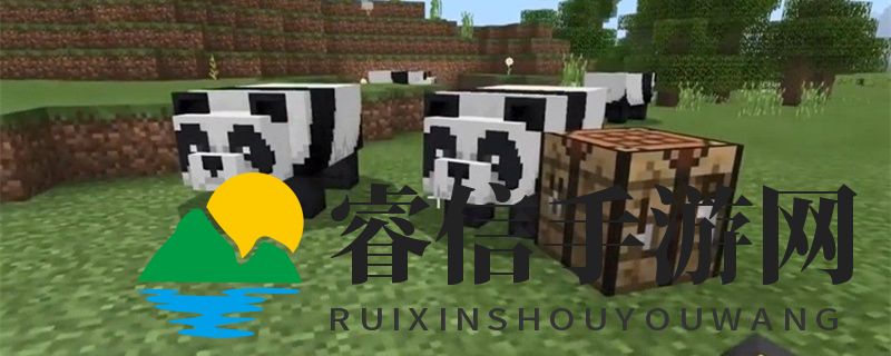 我的世界熊猫能驯服吗