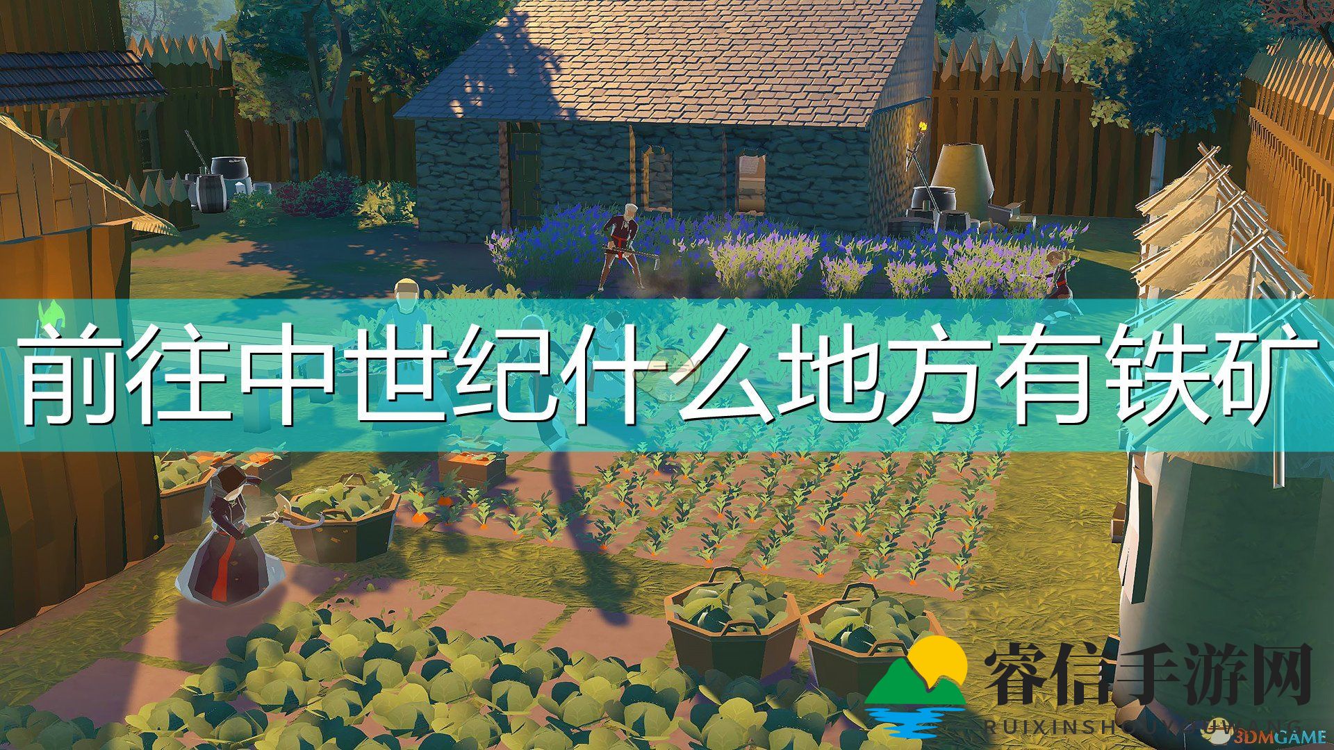 地下探宝，铁矿宝藏揭秘！