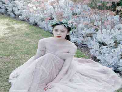 无翼乌之全彩：《奇幻插画，色彩斑斓绘卷》