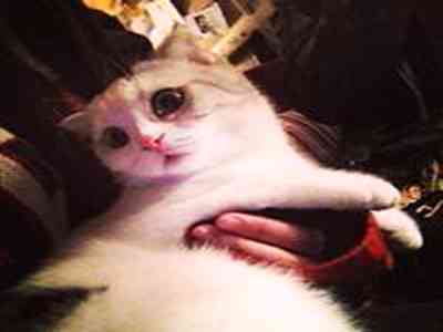  流氓视频app下载：不良视频应用下载需谨慎