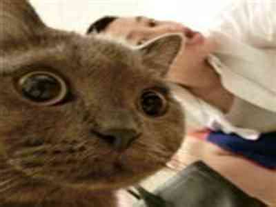 国产精品牛牛影视：影视新锐崛起，国产佳作引领潮流-2