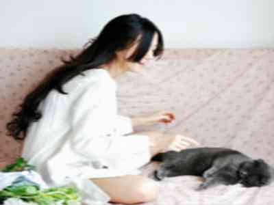 星穹铁道银狼被驷攒蹄：新角色银狼亮相，游戏体验全面升级