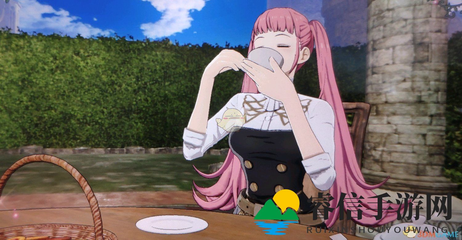 神秘兵种揭秘，探索《火焰纹章》皇帝实力之谜