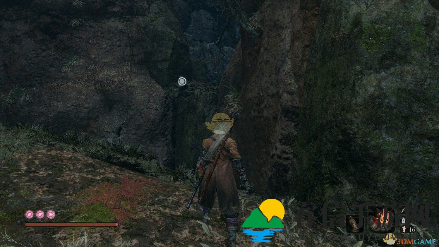 只狼秘境：探寻神秘柿子的奥秘