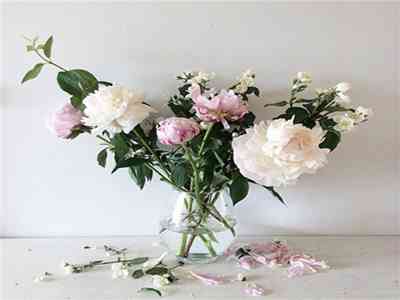 色情应用:网络清朗风暴:专项整治行动大揭秘-1