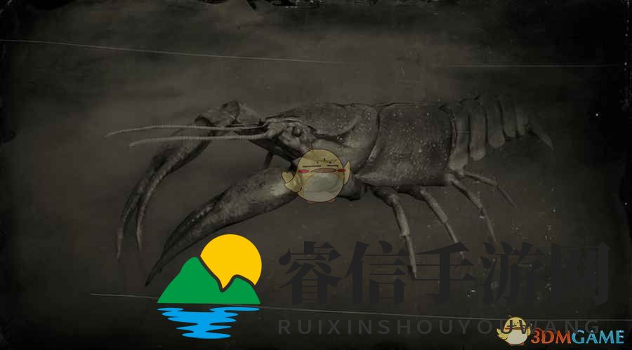 《荒野大镖客2》红沼泽小龙虾图鉴一览