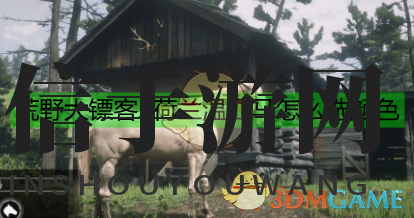 《荒野大镖客2》荷兰温血马数据一览