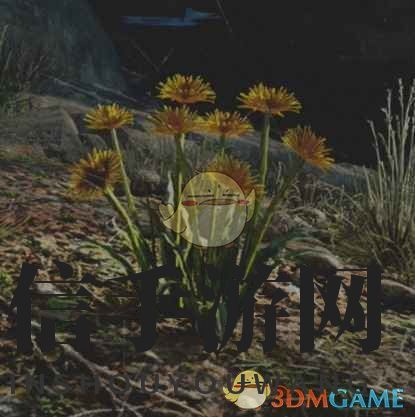 神秘草药寻宝记，探险之旅大揭秘