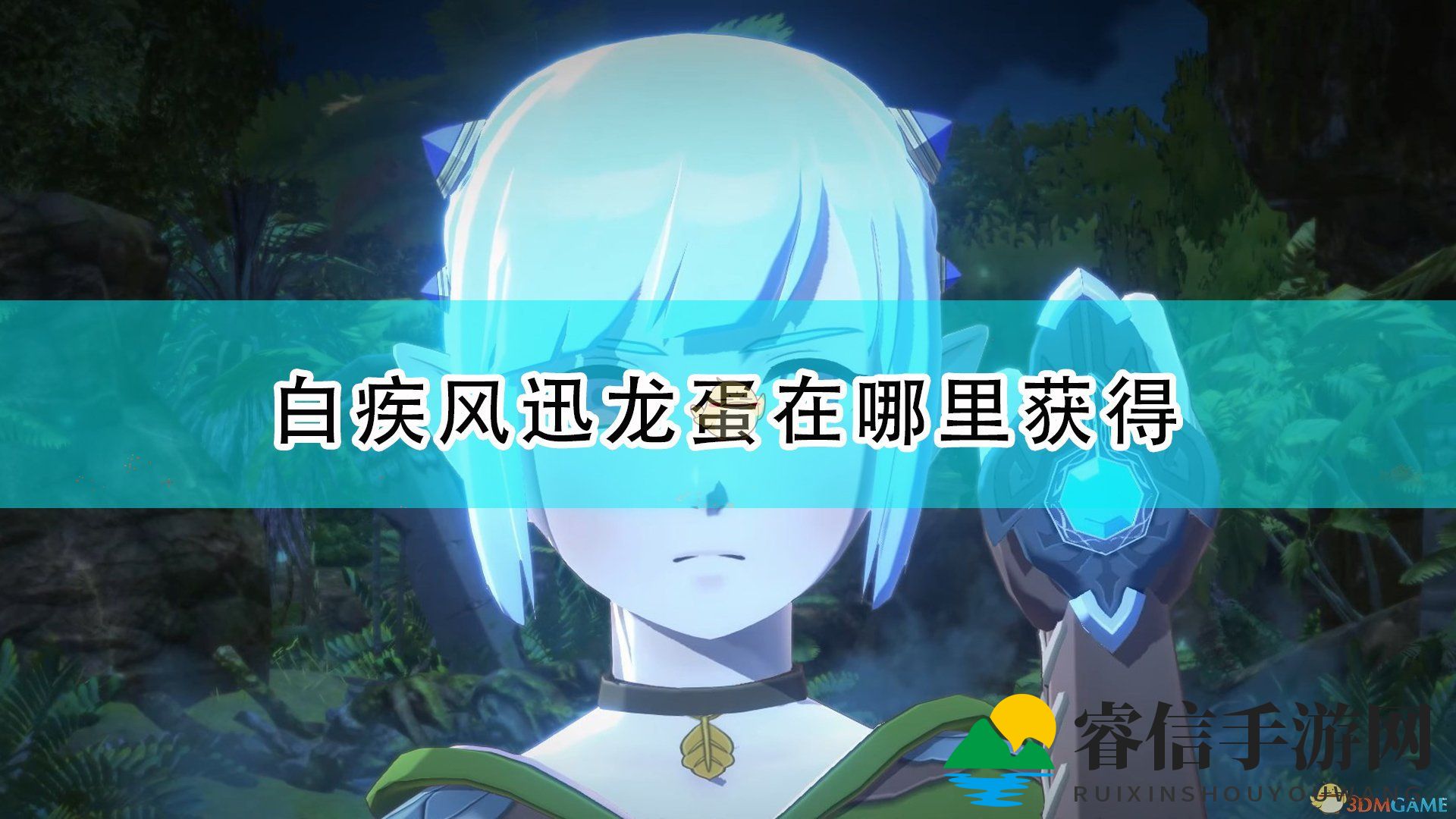 神秘伙伴白疾风迅龙蛋，探秘获取攻略