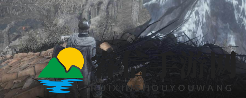  《神秘交易解锁，探寻《黑暗之魂3》力量蜕变》