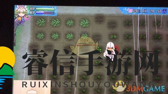 种田大挑战：揭秘《符文工房4》台风应对秘籍