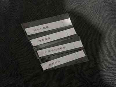 黄色软件3.3免费观看：游戏大更新！免费畅玩，等你来体验-1