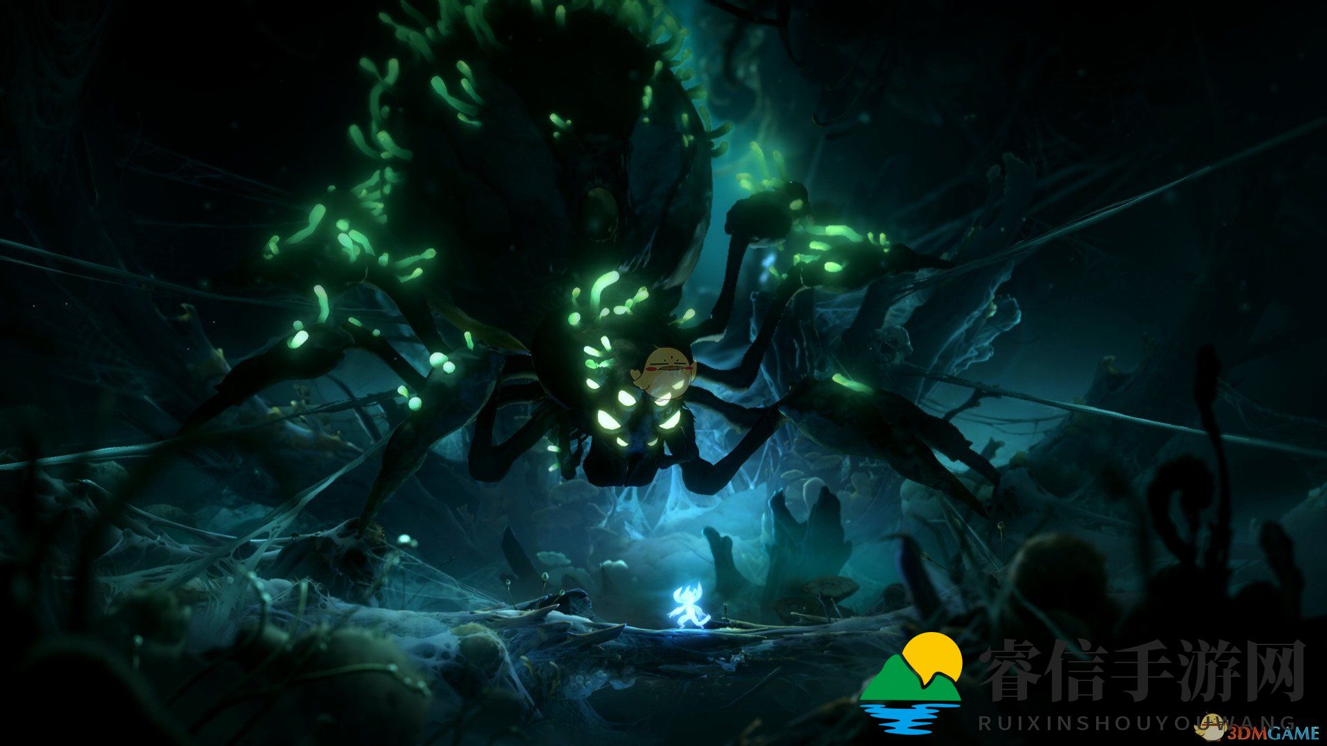 奥日卡bug破解，玩家分享存档恢复攻略