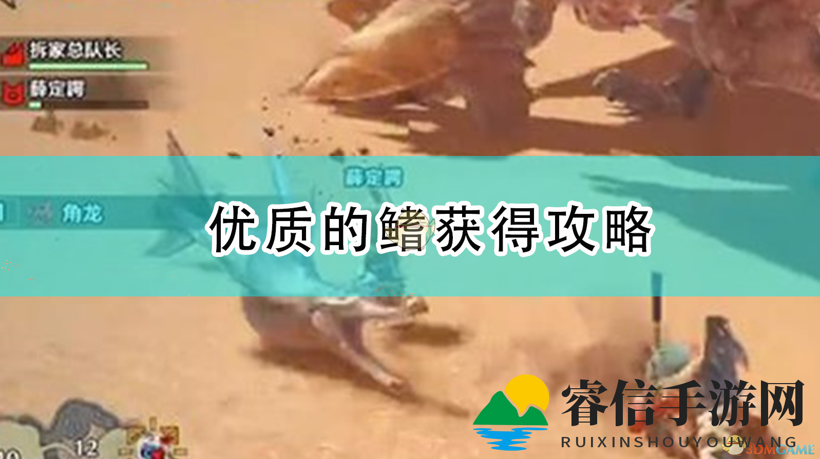 沙鱼之战，轻松获优质鳍