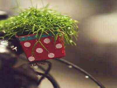 99这里全是精品:精选汇聚,品质之选,99馆内尽是宝-1