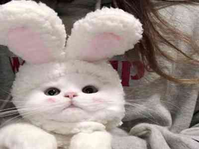 男男上床网站：同性交友平台，私密空间探索之旅-1