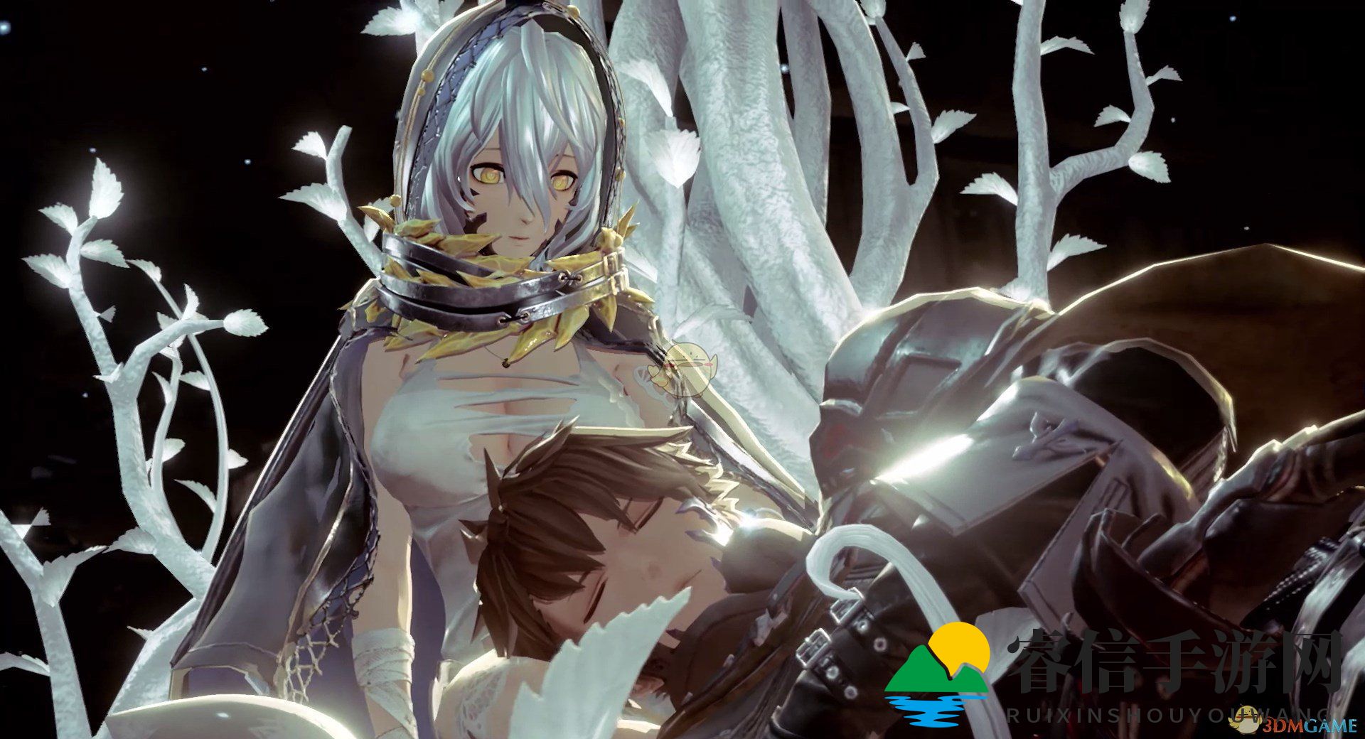 勇闯巅峰，揭秘神秘代码获取之道