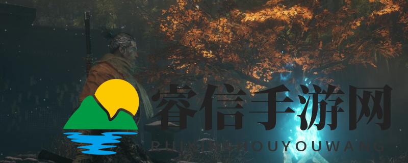 《只狼联机梦：官方动向引期待》