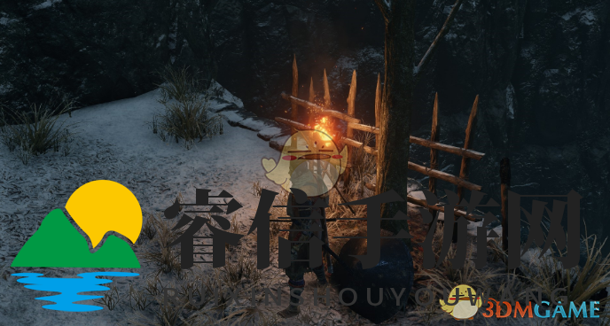 只狼珍稀道具攻略，神秘获取方法揭秘