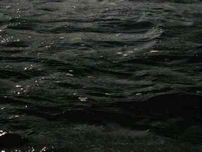 黑料社区www在线入口:揭秘黑料社区,官方在线平台入口直达-1