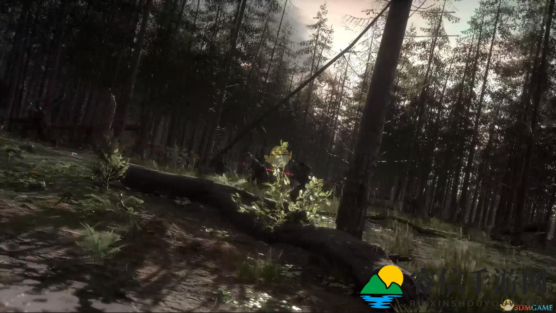 《揭秘指挥官：弹药栏策略大揭秘》