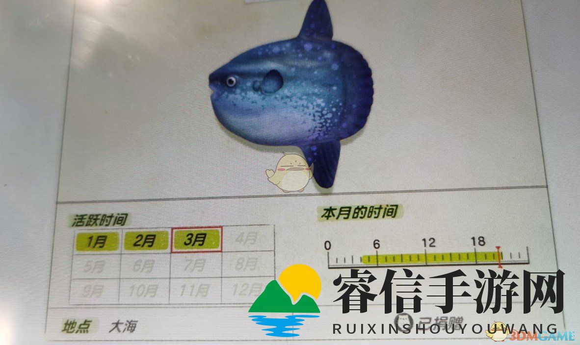  揭秘《动物森友会》翻车鱼出没规律