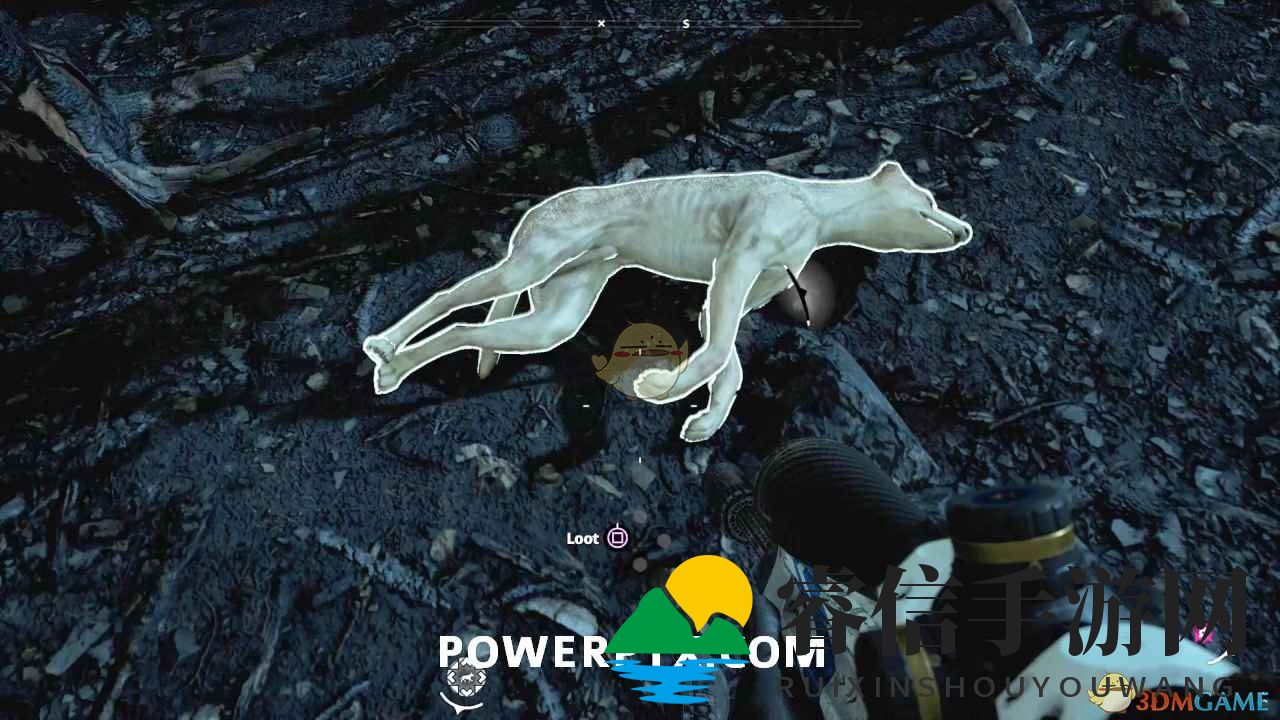 《孤岛探险新技巧：解锁神秘野狗藏身之地》