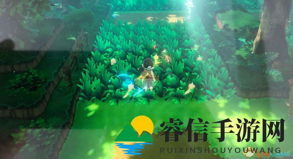 《精灵宝可梦LetsGo皮卡丘伊布》刷闪光大针蜂及闪光独角虫位置分享