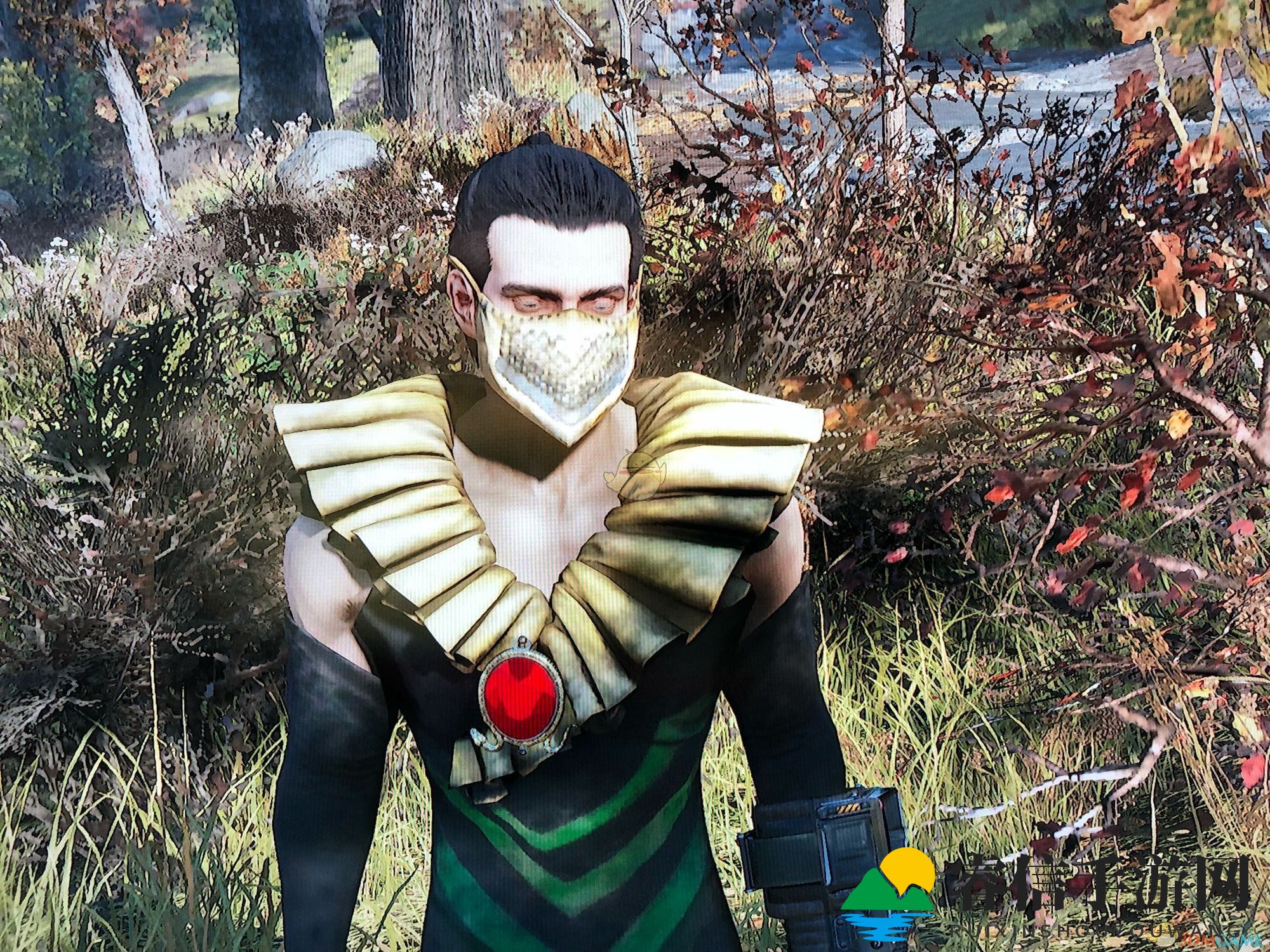 《辐射76》神秘宝物揭秘，潜行利器助你一臂之力