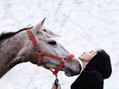 不良应用下载窗口:奇幻冒险游戏新潮流,趣味“不良”应用解锁宝藏之旅-2