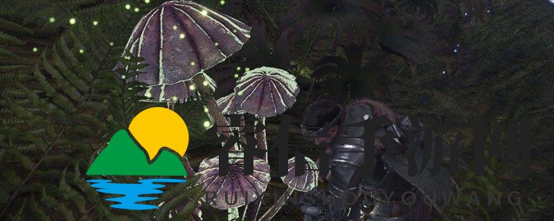 古树森林寻宝记，特产茸菇分布揭秘