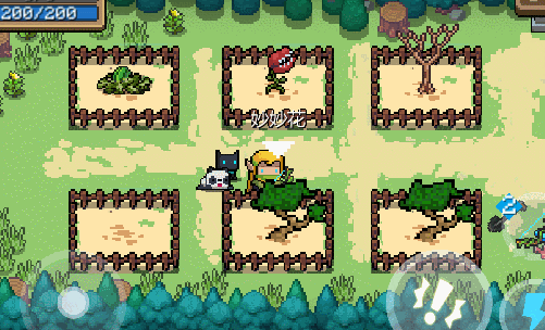 《元气骑士》神秘紫色种子，揭秘天赋花妙妙花！