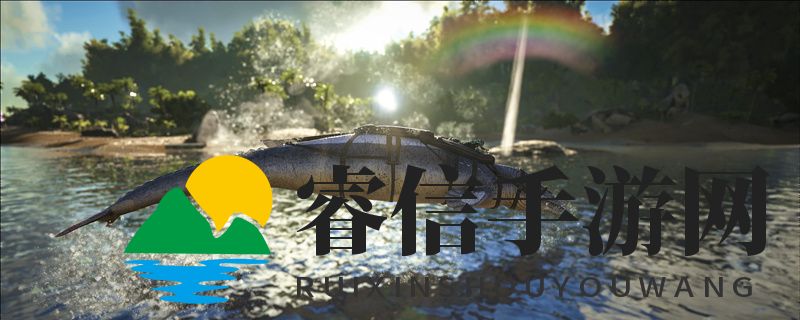 神秘凤凰，极热天气中驯服秘籍揭晓