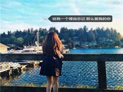 p站官方网站怎么进入:二次元社区探秘:b站p站特色内容大揭秘-1