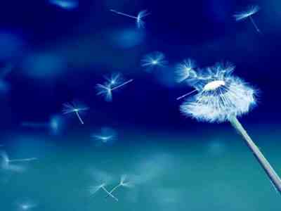 一本色道久久综合亚洲怎么玩:探索四色频道娱乐的精彩体验-1