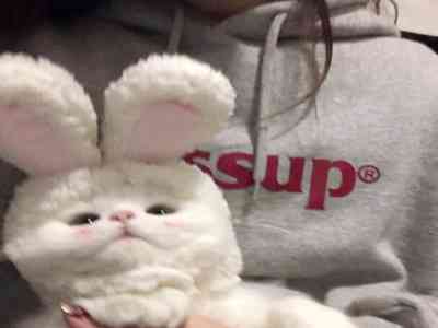 把 伸进女人的 里打扑：恶徒猖狂侵犯女性尊严，行凶打扑行为令人发指-1