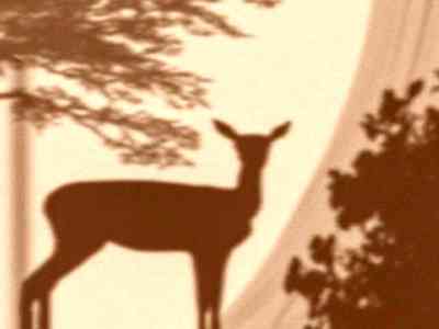  猥琐眼镜男捆绑李梓熙：《幻域奇缘》新剧情引热议：神秘眼镜男捆绑女主！