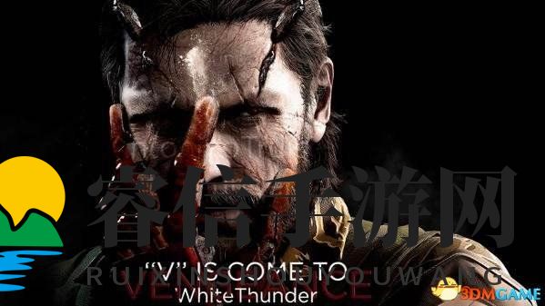 泳装全收集攻略揭秘