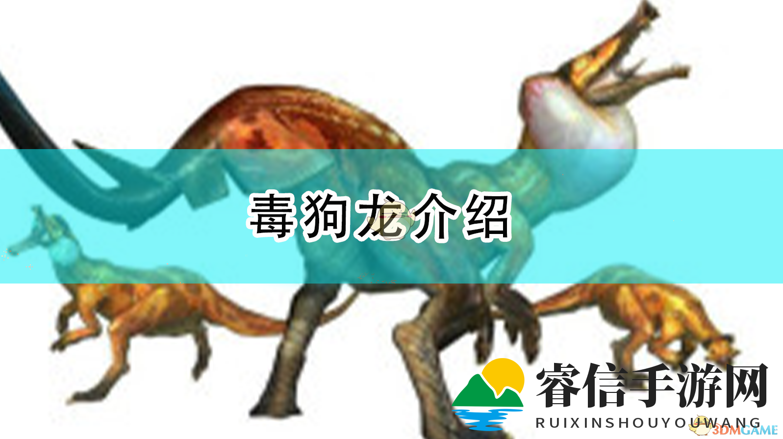 丛林霸主！毒狗龙揭秘