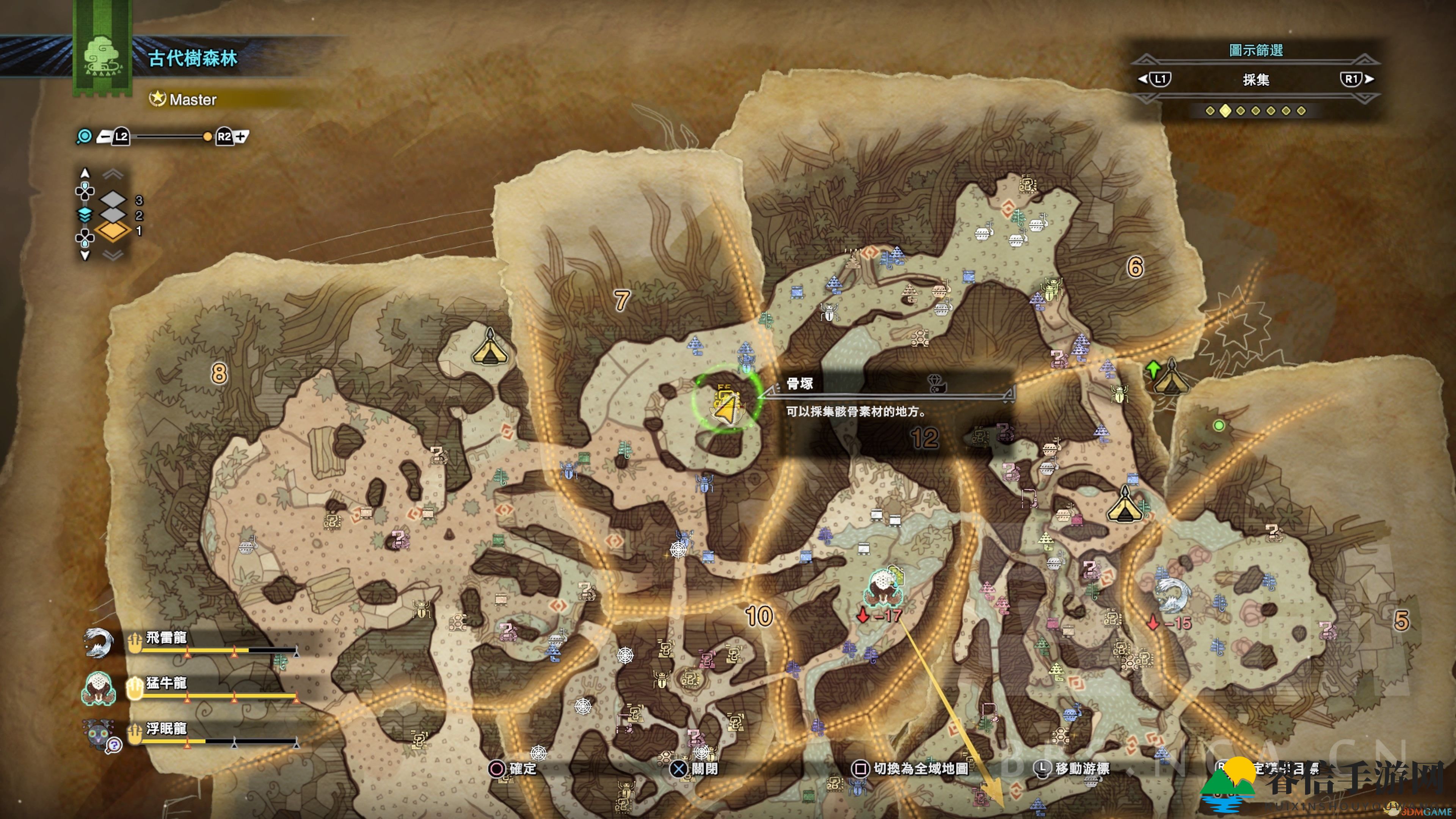 古树森林宝藏揭秘，谜题破解攻略等你来！